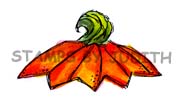 F-309-HK Pumpkin Top